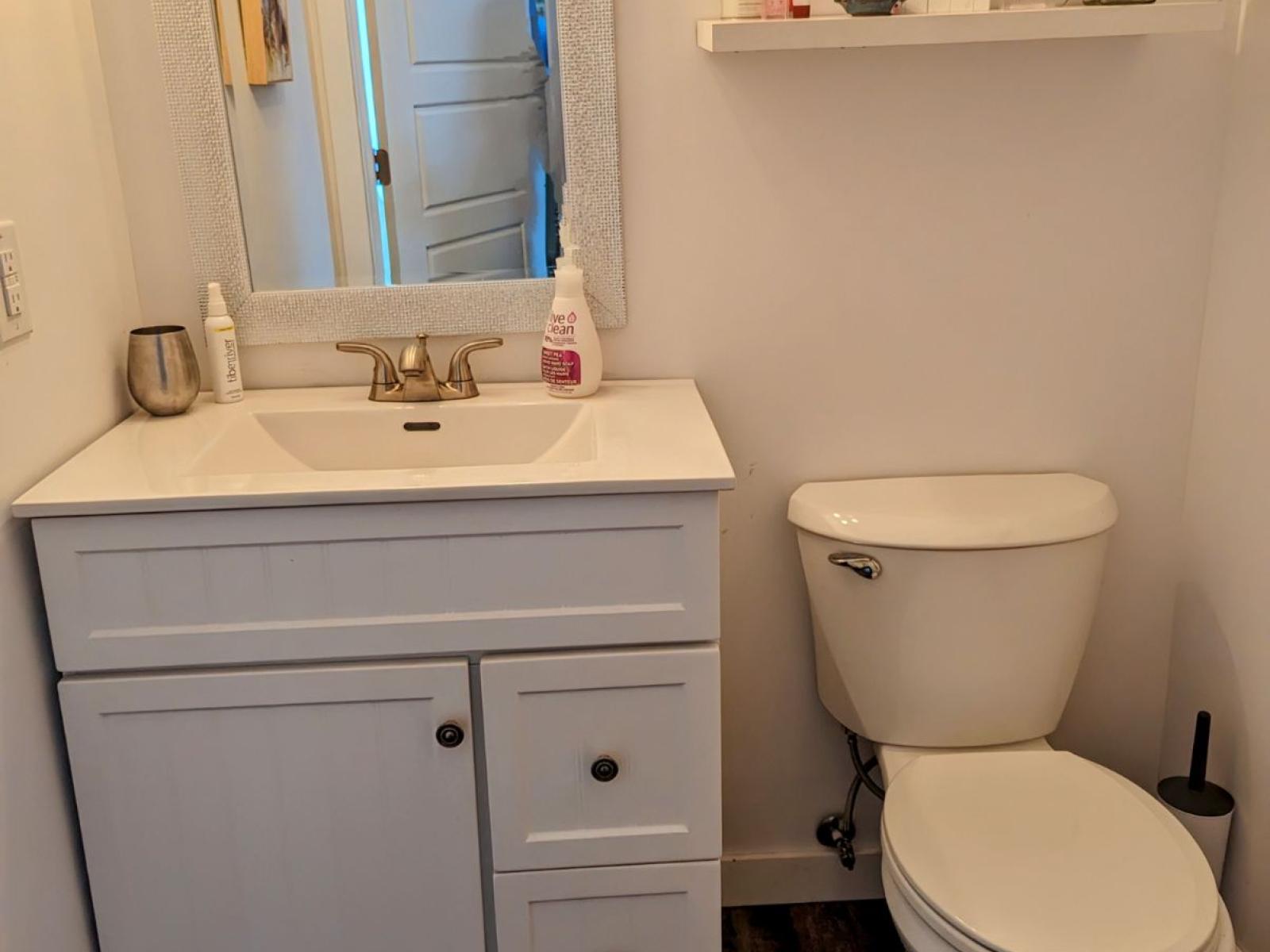 Brereton Lake  - Lakefront  Cottage for Sale - 2nd Bathroom