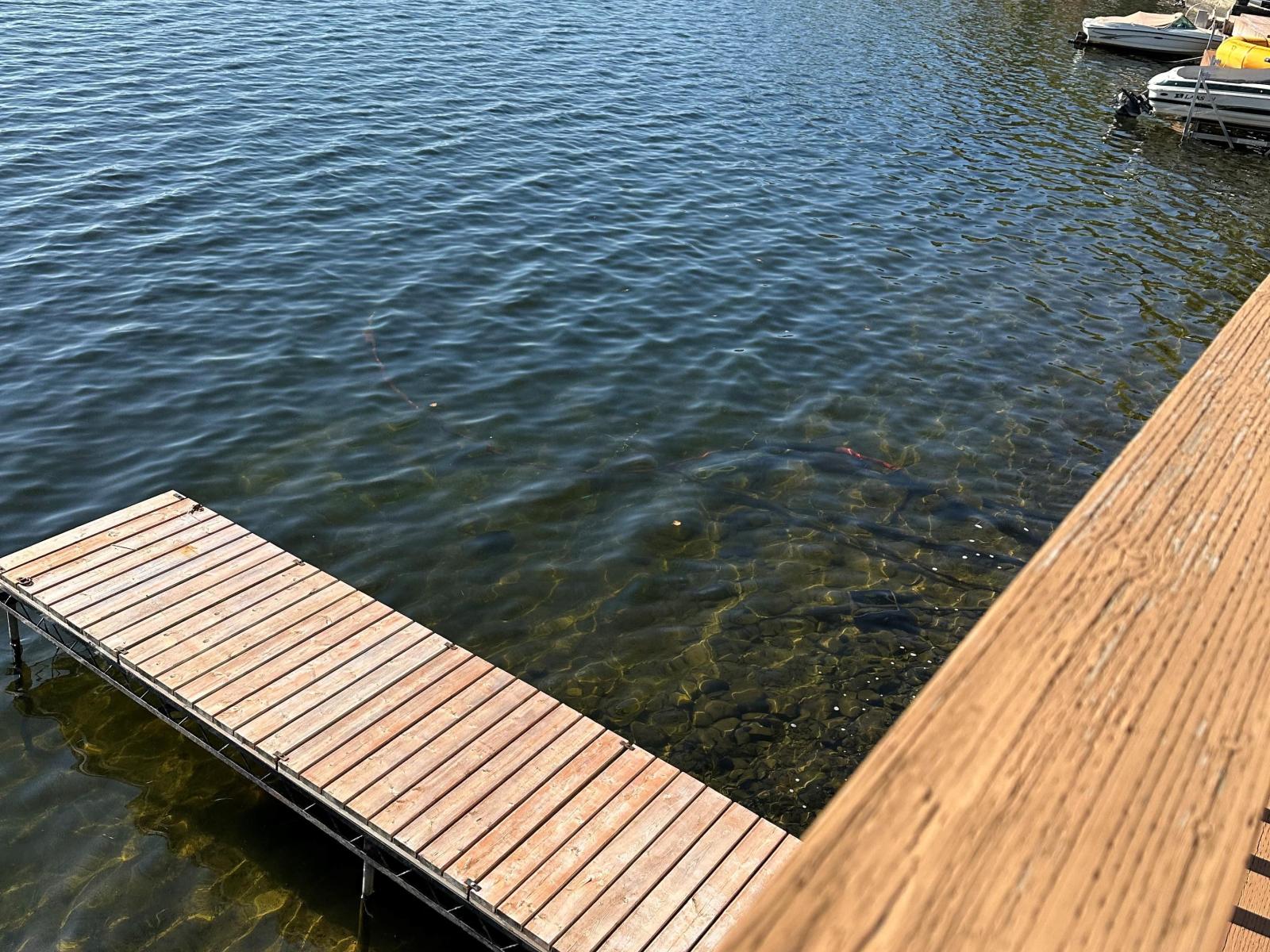 Shoreline