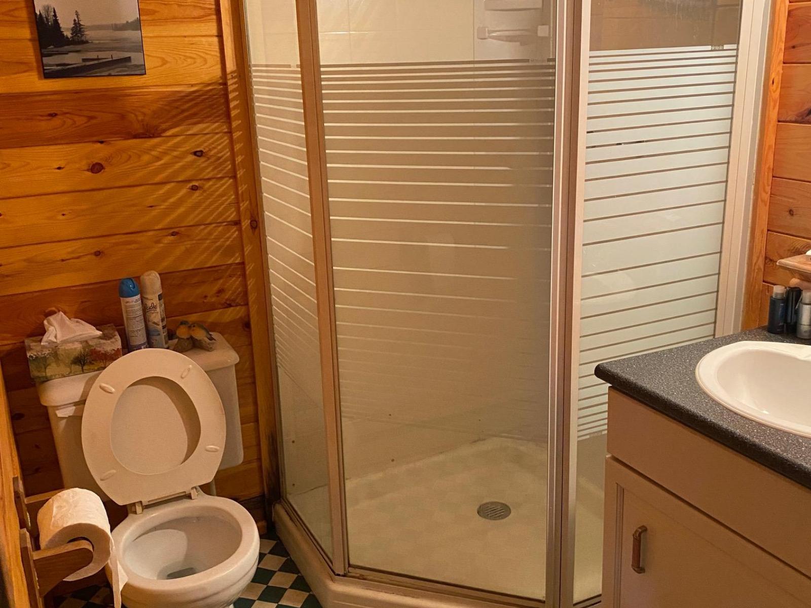 Shower - Green Bay Resort Cabin 10